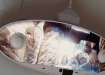 Ecco la foto rubata del controller del Nintendo NX: sarà vera?