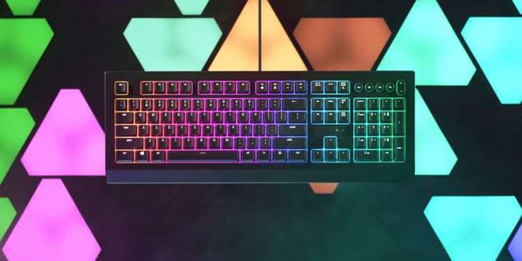 Razer presenta Cynosa V2: illuminazione RGB personalizzabile per ogni tasto e controlli multimediali